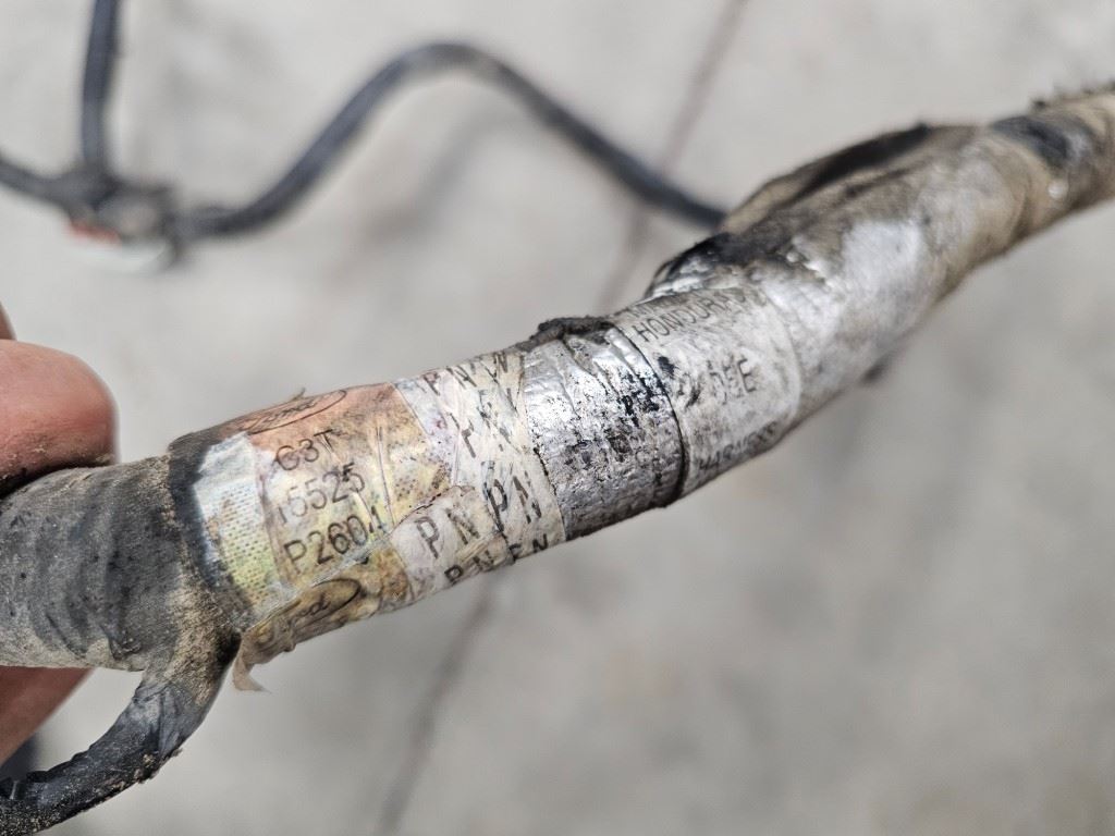 Click for a larger image...