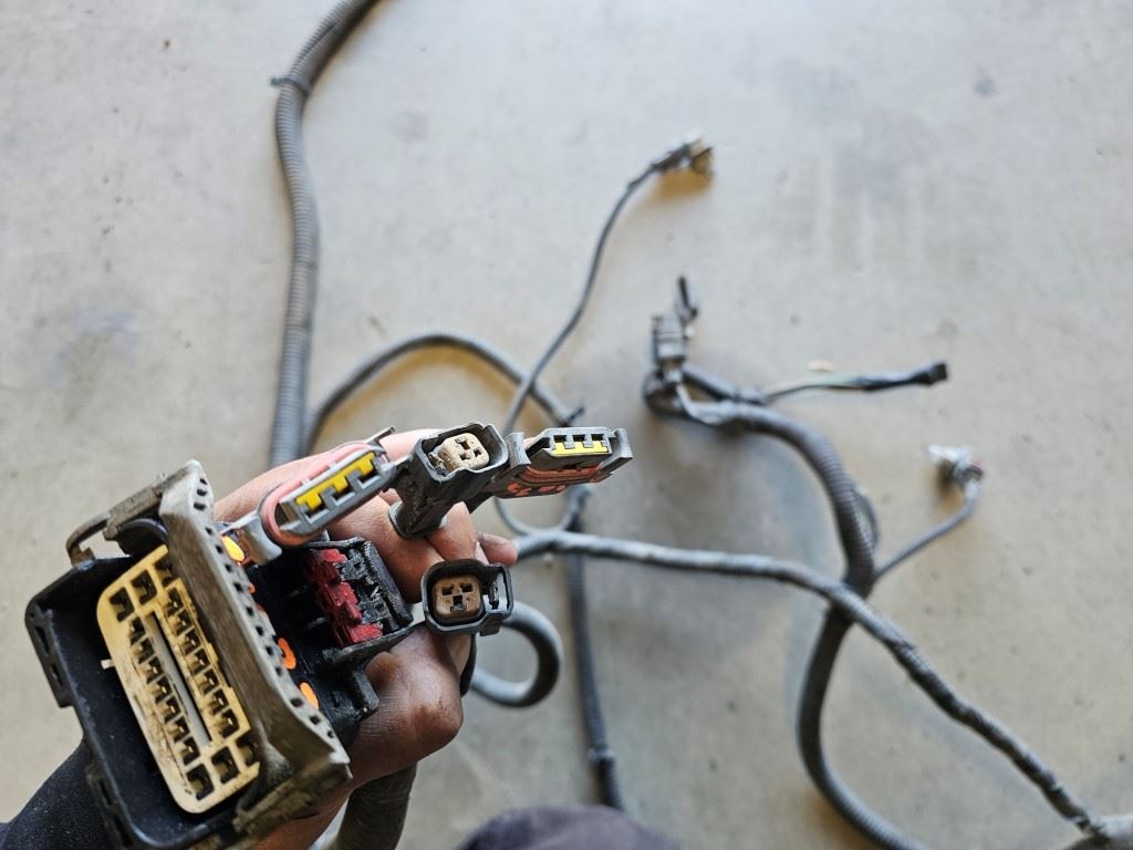 Click for a larger image...