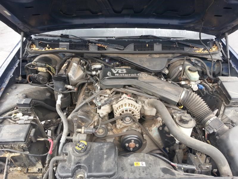 Used 2000 Ford Crown Victoria Transmission Drive Shaft Rear Polic